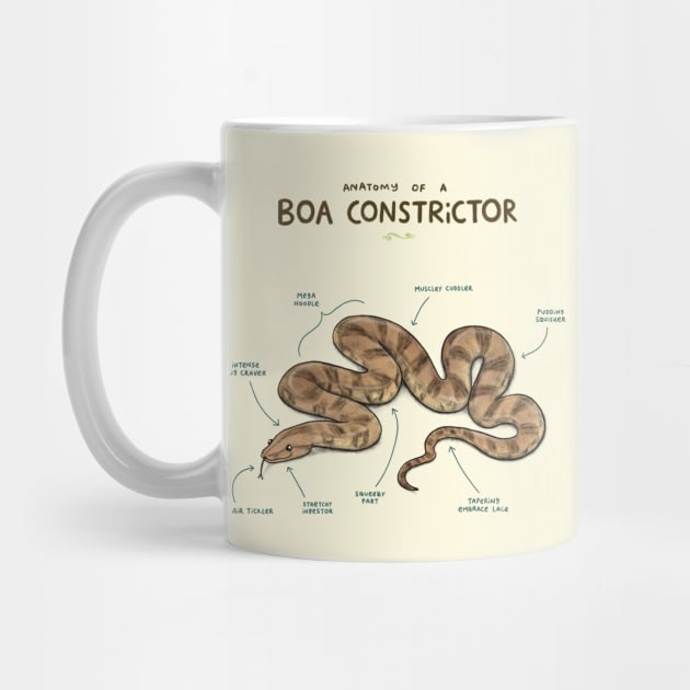 Anatomy of a Boa Constrictor by Sophie Corrigan